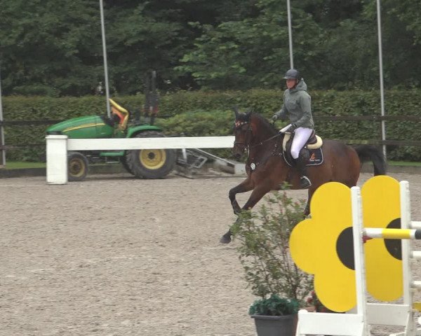 Reitturnier Klein Roscharden 2023