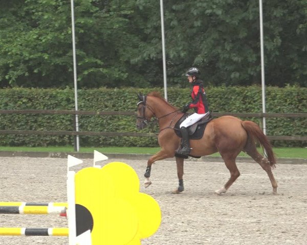 Reitturnier Klein Roscharden 2023