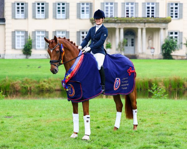 broodmare Saluna W (Oldenburg, 2019, from Secret)