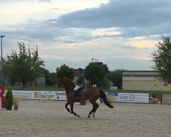 Reitturnier Rot am See- Musdorf 2023