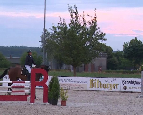 Reitturnier Rot am See- Musdorf 2023