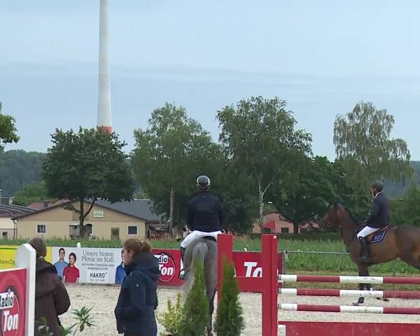 Reitturnier Rot am See- Musdorf 2023