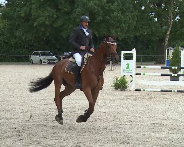 Reitturnier Rot am See- Musdorf 2023