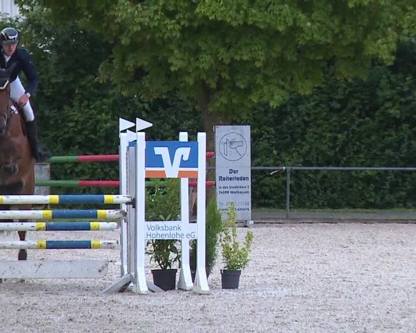 Reitturnier Rot am See- Musdorf 2023