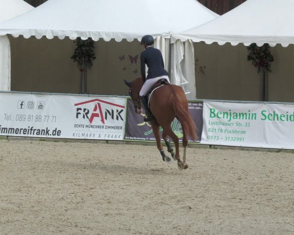 Reitturnier Karlsfeld 2023