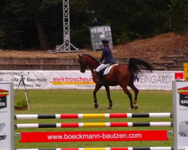 Reitturnier Baschütz bei Bautzen 2023