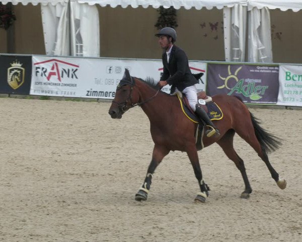 Reitturnier Karlsfeld 2023