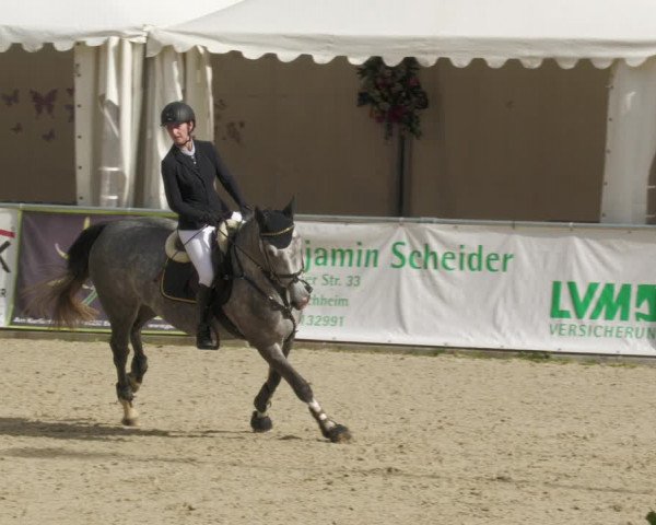 Reitturnier Karlsfeld 2023