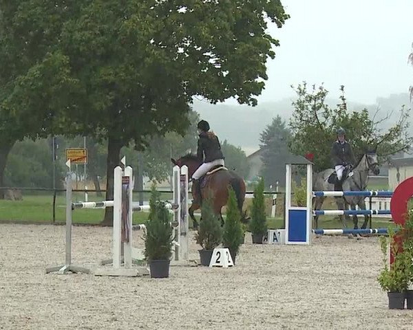 Reitturnier Rot am See- Musdorf 2023