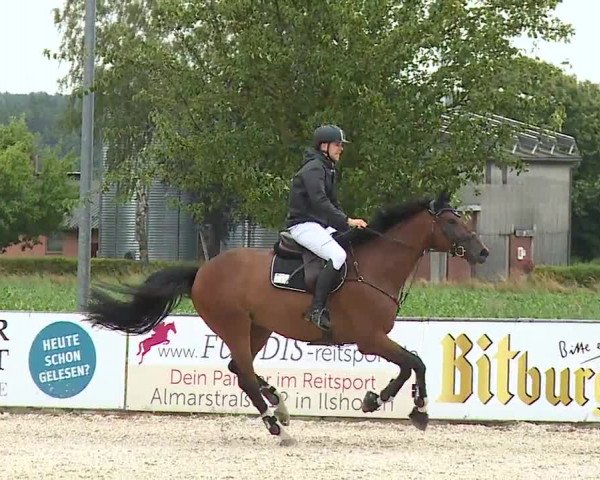 Reitturnier Rot am See- Musdorf 2023