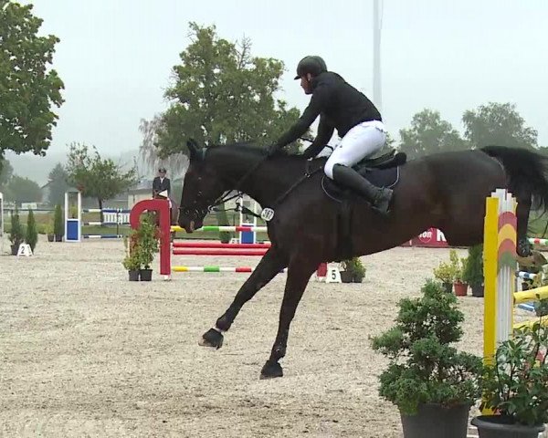 Reitturnier Rot am See- Musdorf 2023