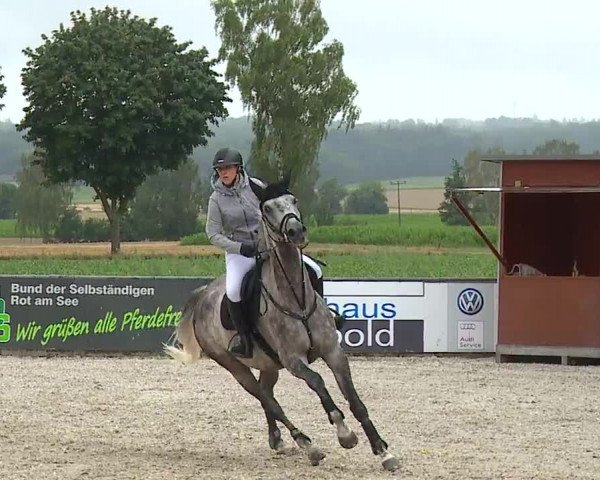 Reitturnier Rot am See- Musdorf 2023