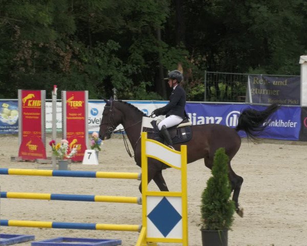Reitturnier Karlsfeld 2023