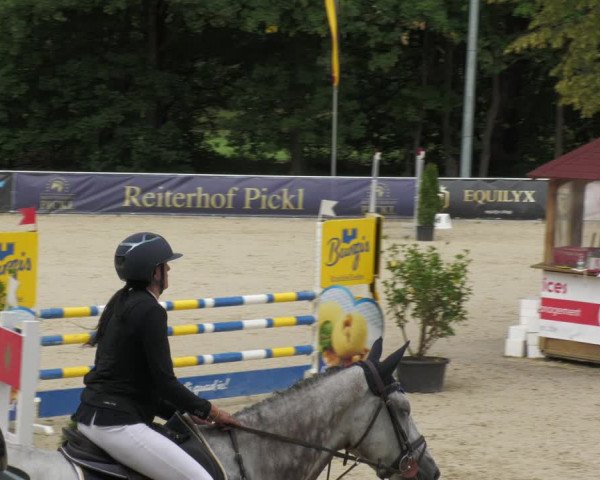 Reitturnier Karlsfeld 2023