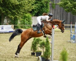 jumper Asasisa (Hanoverian, 2013, from August der Dritte FR)