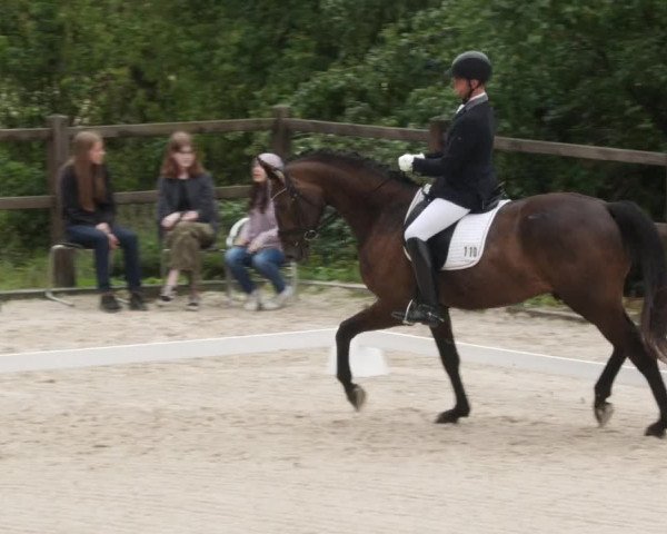 Reitturnier Bübinger Hof 2023