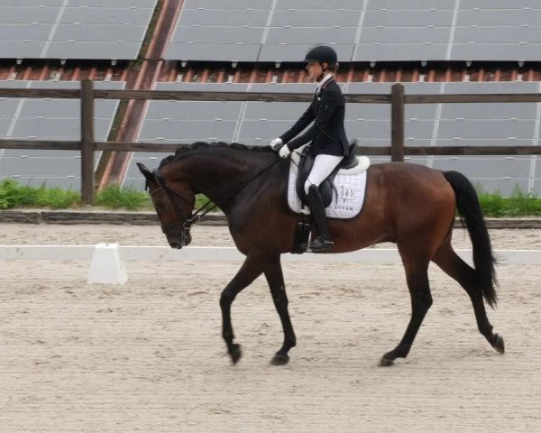 Reitturnier Bübinger Hof 2023