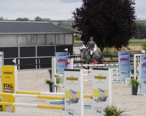 Reitturnier Worms-Pfeddersheim / Reitsportanlage Wittemer 2023