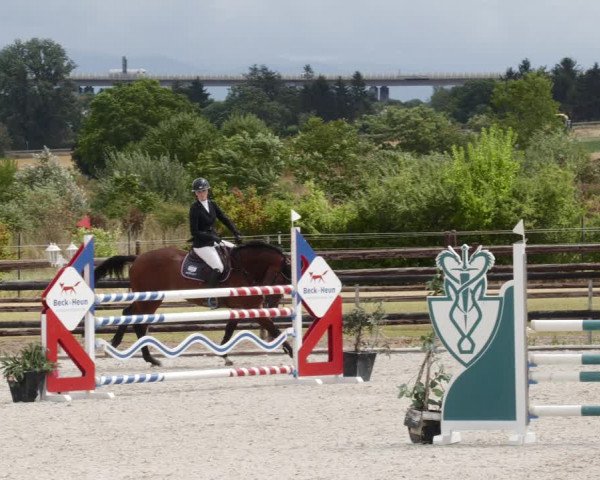 Reitturnier Worms-Pfeddersheim / Reitsportanlage Wittemer 2023