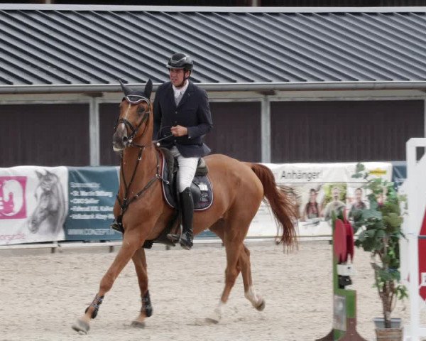 Reitturnier Worms-Pfeddersheim / Reitsportanlage Wittemer 2023