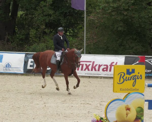Reitturnier Karlsfeld 2023