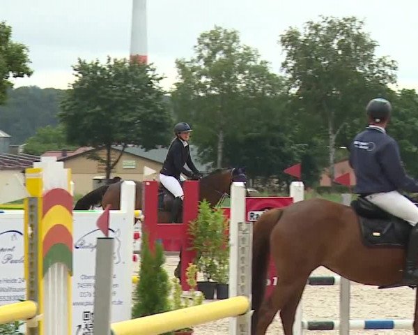 Reitturnier Rot am See- Musdorf 2023