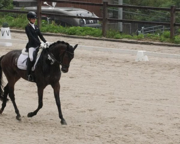 Reitturnier Bübinger Hof 2023