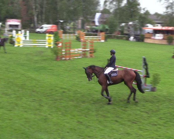 Reitturnier Etingen 2023