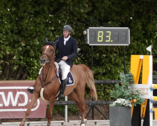 Reitturnier Worms-Pfeddersheim / Reitsportanlage Wittemer 2023