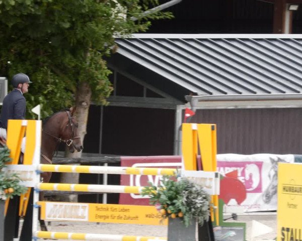 Reitturnier Worms-Pfeddersheim / Reitsportanlage Wittemer 2023