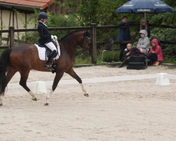Reitturnier Bübinger Hof 2023