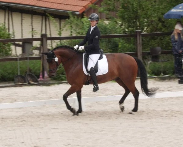 Reitturnier Bübinger Hof 2023