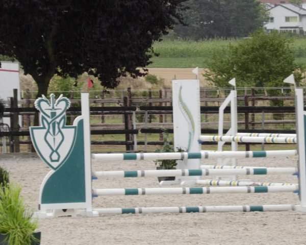 Reitturnier Worms-Pfeddersheim / Reitsportanlage Wittemer 2023