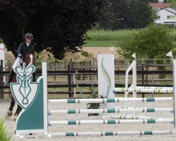 Reitturnier Worms-Pfeddersheim / Reitsportanlage Wittemer 2023