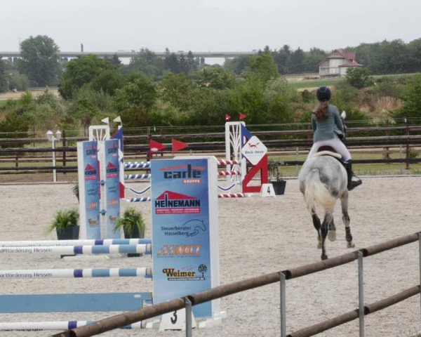 Reitturnier Worms-Pfeddersheim / Reitsportanlage Wittemer 2023