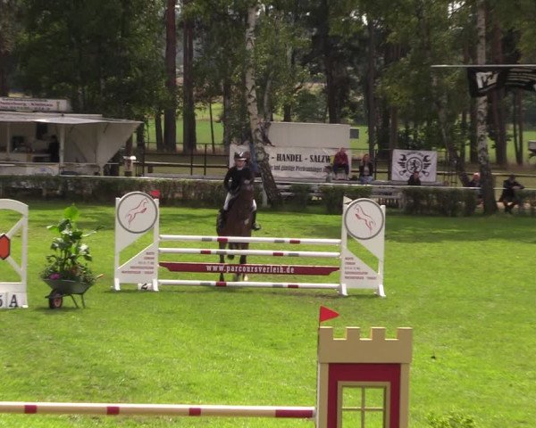 Reitturnier Etingen 2023