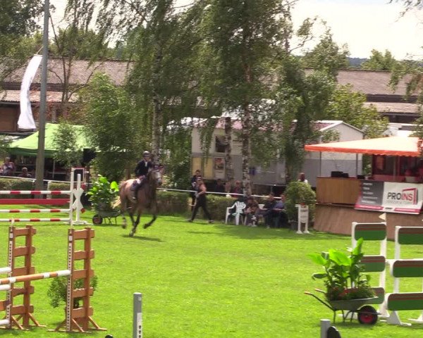 Reitturnier Etingen 2023