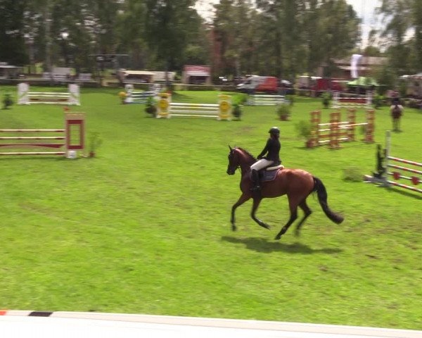 Reitturnier Etingen 2023