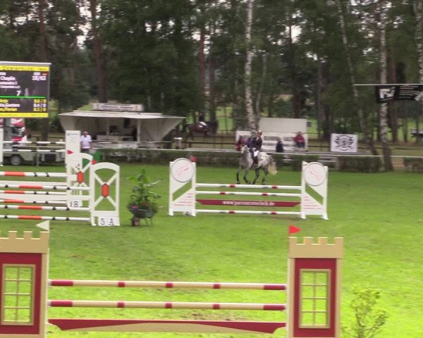 Reitturnier Etingen 2023