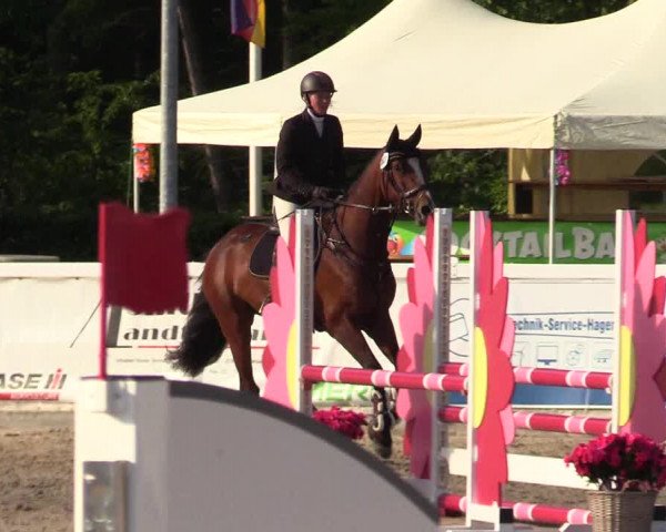 Reitturnier Ladelunder Springtage 2023