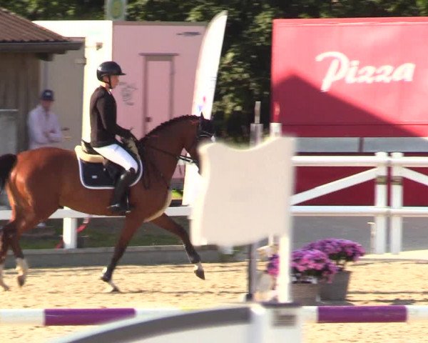 Reitturnier Ladelunder Springtage 2023