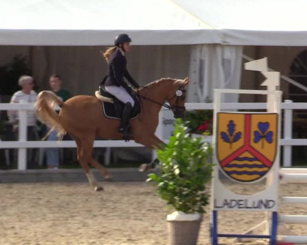 Reitturnier Ladelunder Springtage 2023
