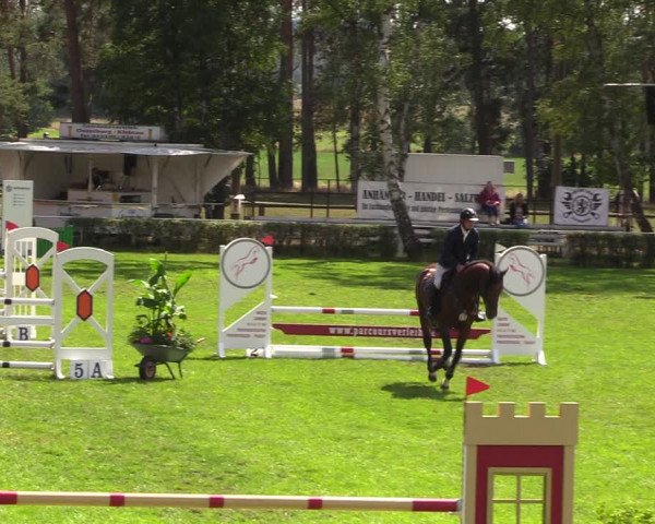 Reitturnier Etingen 2023