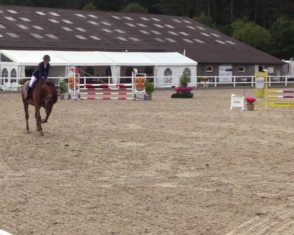 Reitturnier Ladelunder Springtage 2023
