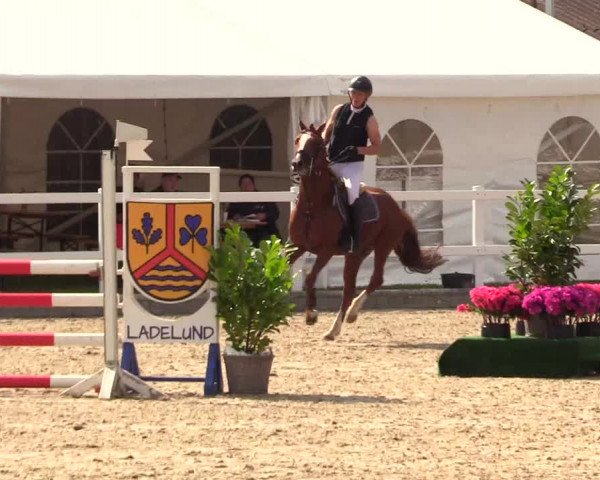 Reitturnier Ladelunder Springtage 2023