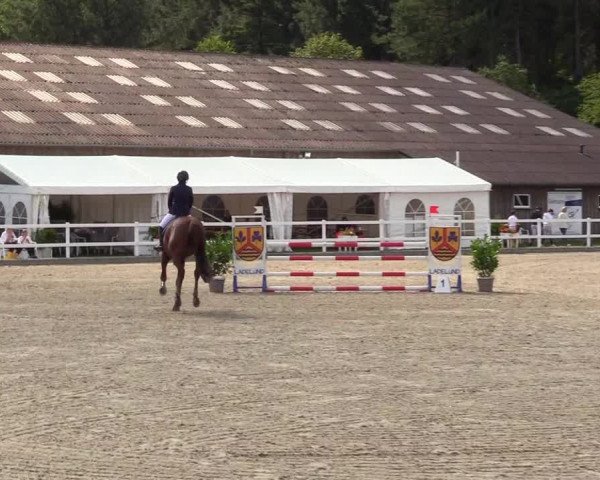 Reitturnier Ladelunder Springtage 2023
