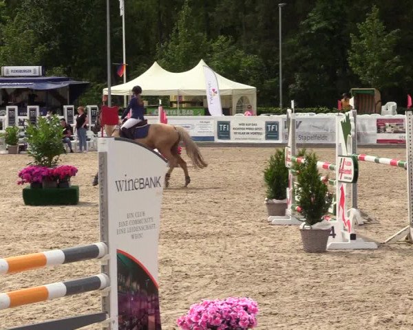 Reitturnier Ladelunder Springtage 2023