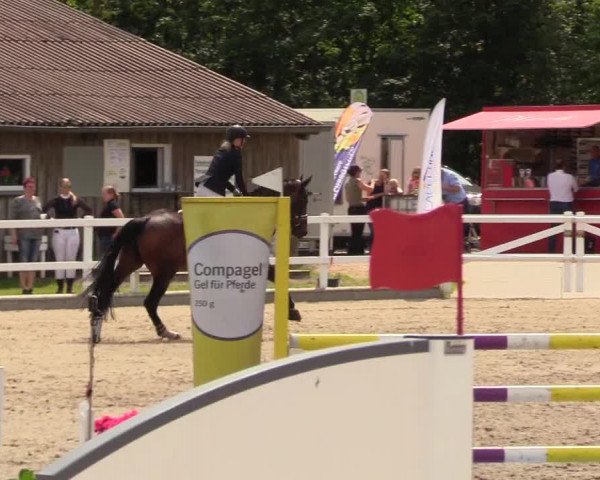 Reitturnier Ladelunder Springtage 2023