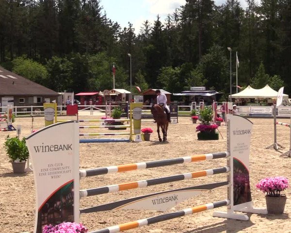 Reitturnier Ladelunder Springtage 2023