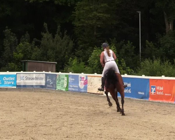 Reitturnier Ladelunder Springtage 2023